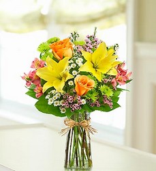 Fields of Europe<br> Happy Birthday Davis Floral Clayton Indiana from Davis Floral